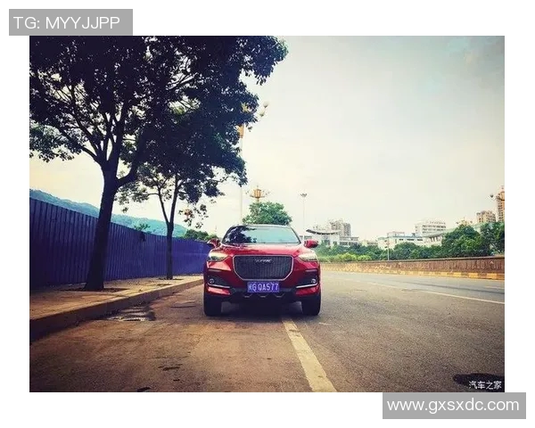 黄蜂对阵水户精彩直播全程回顾及赛后分析尽在这里