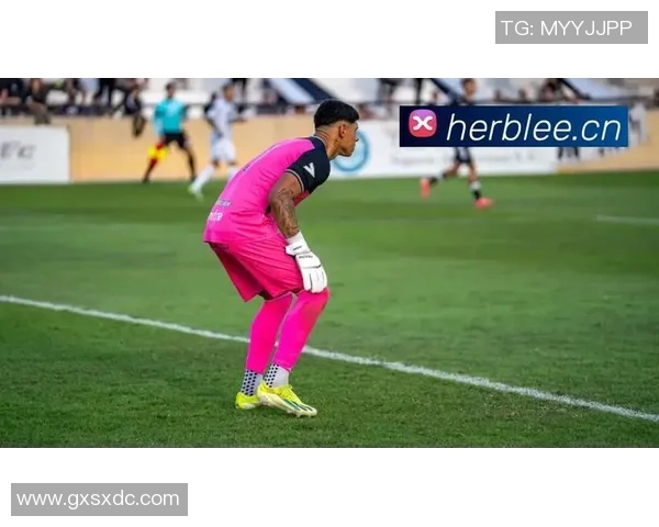 维冈主场迎战巴恩斯利新浪体育全程直播精彩赛事分析与预测